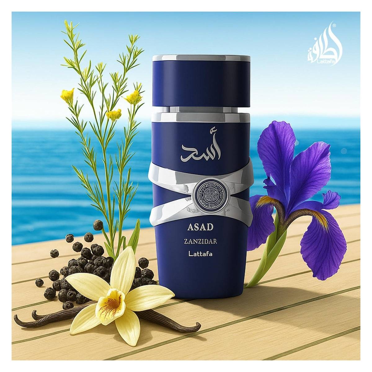 LATTAFA Asad Zanzibar eau de parfum homme 100ml