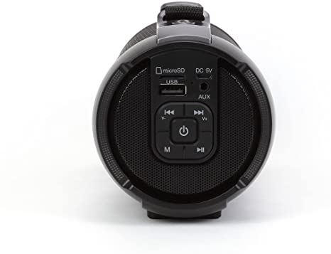 LEDWOOD ACCESS100 - Enceinte Bluetooth TWS Portable avec Sangle - Haut-Parleur sans Fil Puissant - AUX - Port USB - Carte MicroSD - Radio FM - Noir