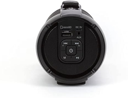 LEDWOOD ACCESS100 - Enceinte Bluetooth TWS Portable avec Sangle - Haut-Parleur sans Fil Puissant - AUX - Port USB - Carte MicroSD - Radio FM - Noir